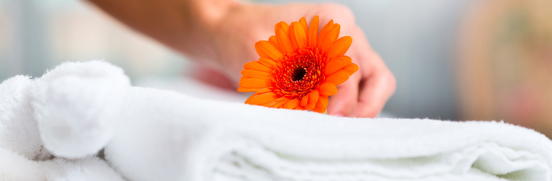 Villa Suralai - Proffesional staff